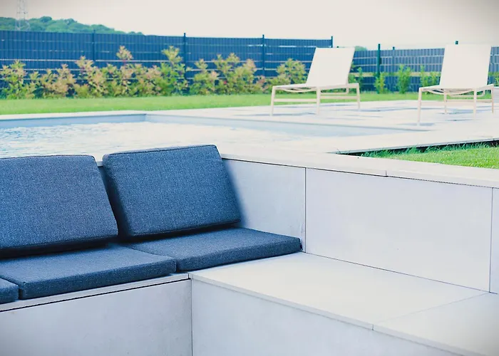 Echappée Des Hirondelles *