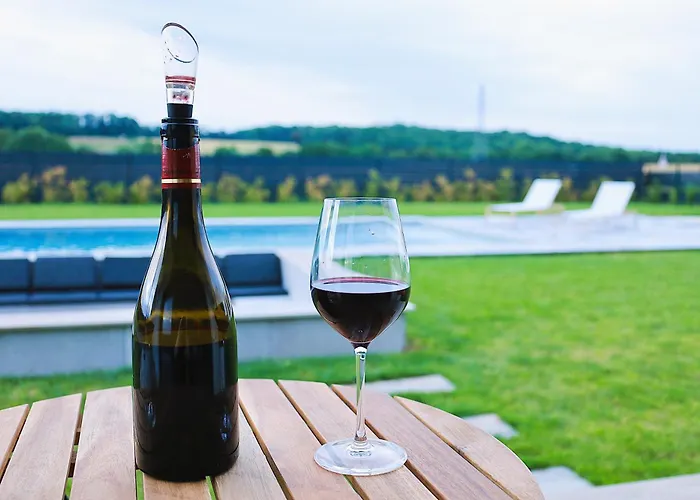 Echappée Des Hirondelles *