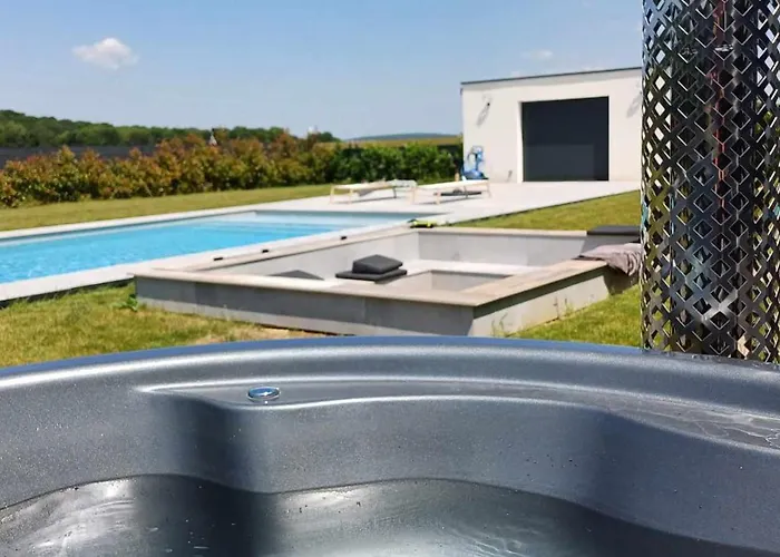 Echappée Des Hirondelles *